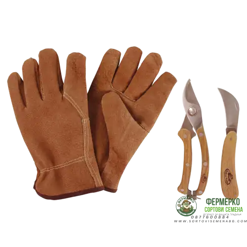 Комплект за резитба от неръждаема стомана Esschert Design  – 3 части (ръкавици,ножица,нож)