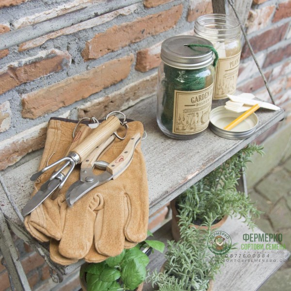 Комплект градински инструменти от неръждаема стомана Esschert Design - 2 части (лопатка и гребло)