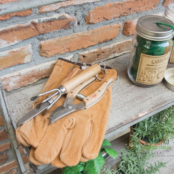 Комплект градински инструменти от неръждаема стомана Esschert Design - 2 части (лопатка и гребло)