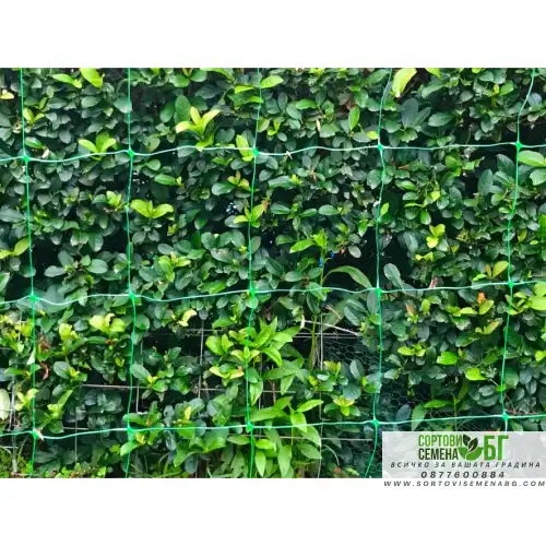 Мрежа за катерливи растения 2м х 10м Мрежа за катерливи растения 2м х 10м