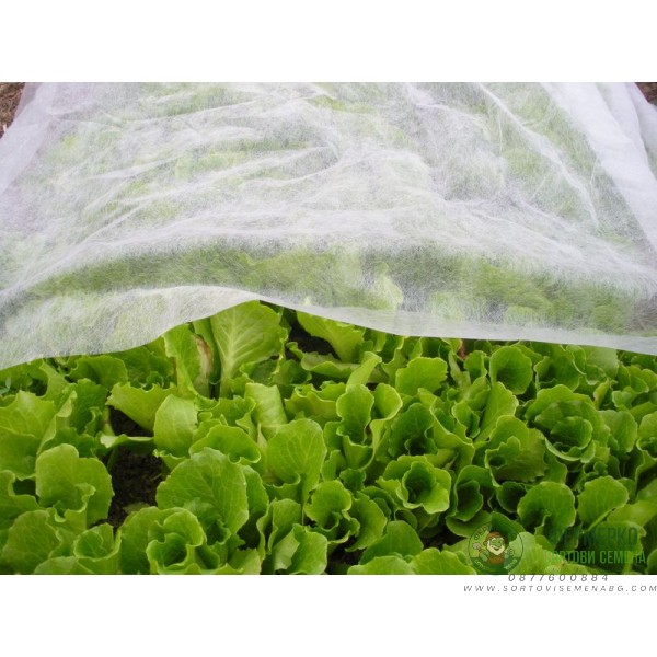 Покривало от нетъкан текстил - 3,2x10м - 17 гр м2