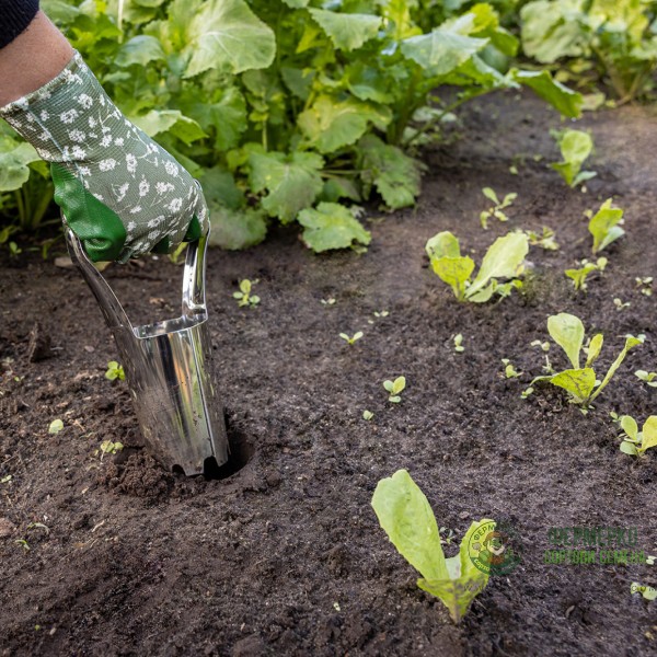 Садило за луковици от неръждаема стомана Esschert Design