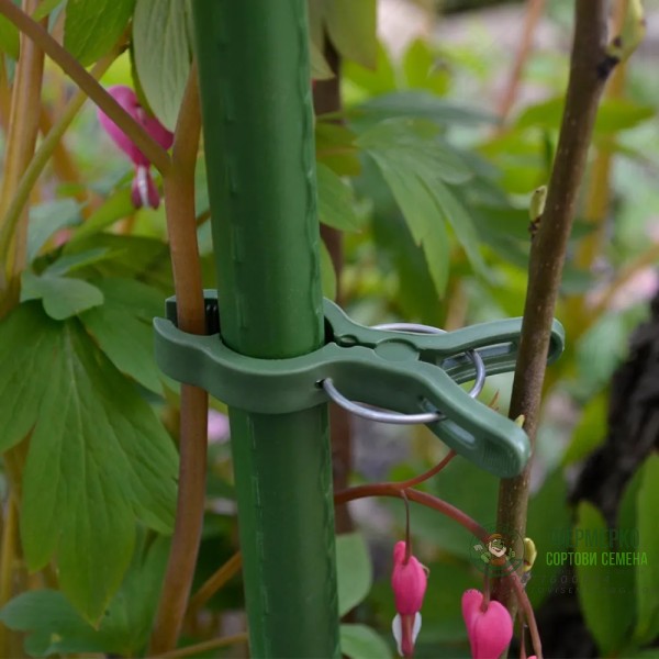 Щипки за закрепване на растения - 10 броя