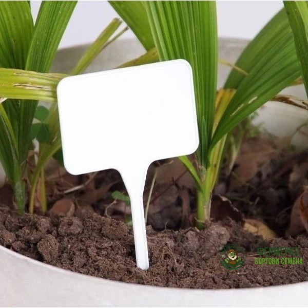 Табелки за надписване - бели - 15 броя