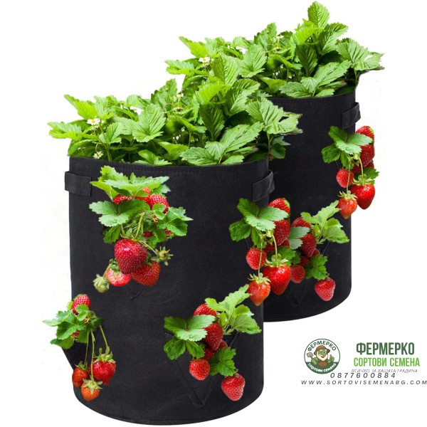 Торба (Чанта) за отглеждане на ягоди