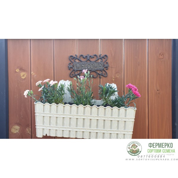 Комплект Саксия (Кашпа) с куки 39 см + Карамфилчета Комплект Саксия (Кашпа) с куки 39 см + Карамфилчета