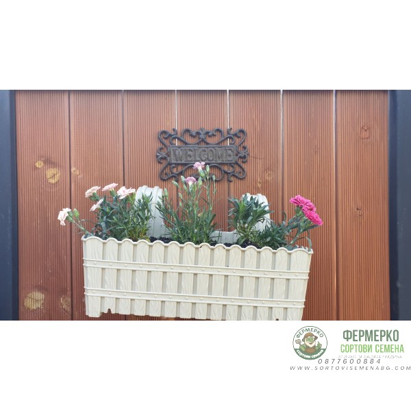 Комплект Саксия (Кашпа) с куки 39 см + Карамфилчета Комплект Саксия (Кашпа) с куки 39 см + Карамфилчета