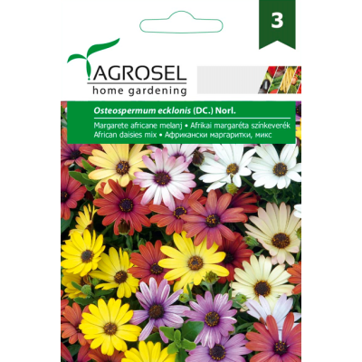 Африкански Маргаритки Микс / Osteospermum ecklonis