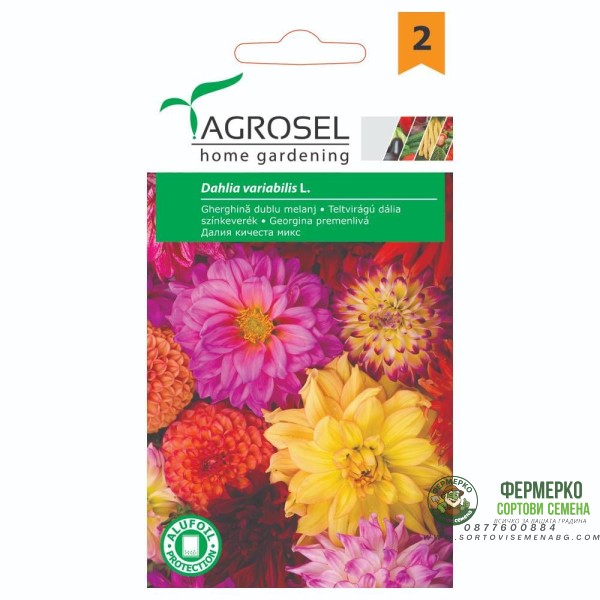 Далия Кичеста Микс Dahlia variabilis