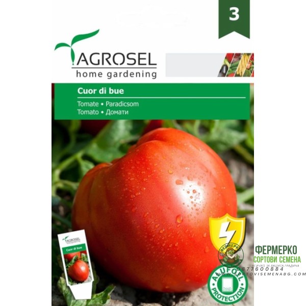 Домат тип Волско сърце Cuor di Bue