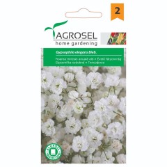 Гипсофила Gypsophila elegans Beib