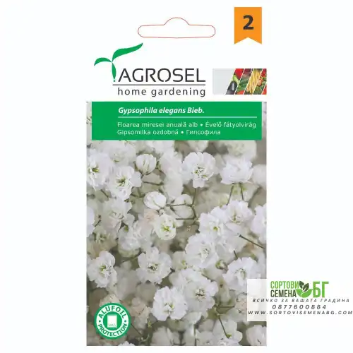 Гипсофила / Gypsophila elegans Beib