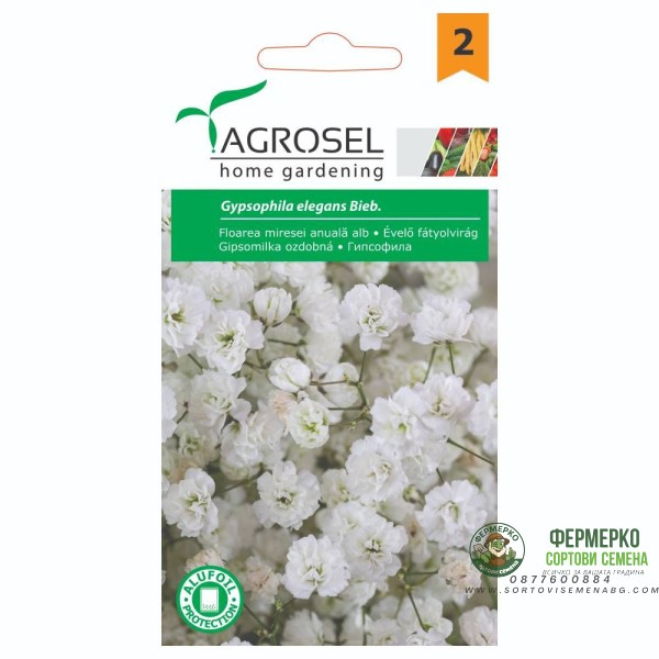 Гипсофила Gypsophila elegans Beib