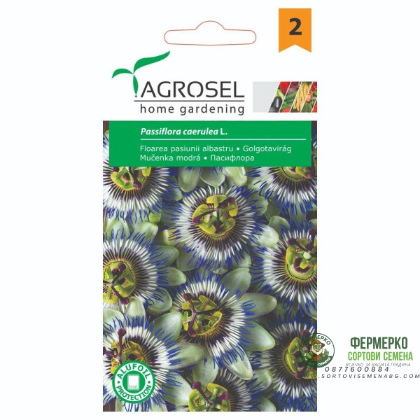 Пасифлора Passiflora caerulea L