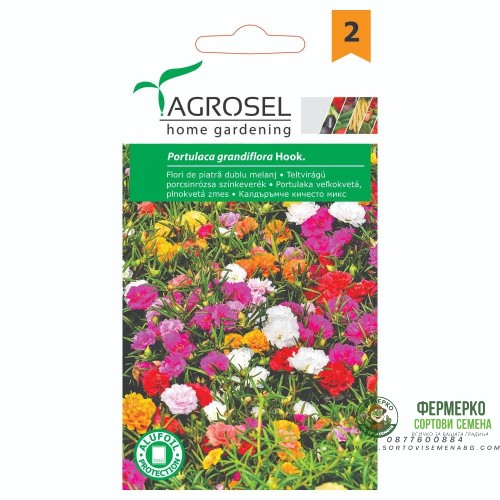Калдаръмче Кичесто Микс Portulaca grandiflora Hook