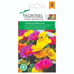 Калдаръмче Микс Portulaca grandiflora Hook
