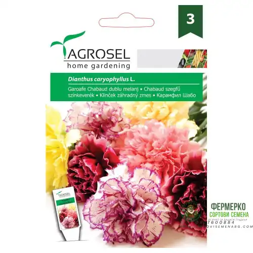 Карамфил Шабо Микс / Dianthus caryophyllus