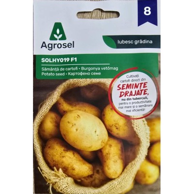 Картофено семе F1 Solanum tuberosum