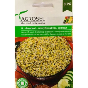 Семена Броколи за Кълнове