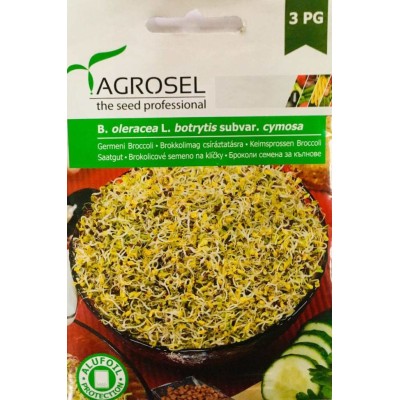 Семена Броколи за Кълнове