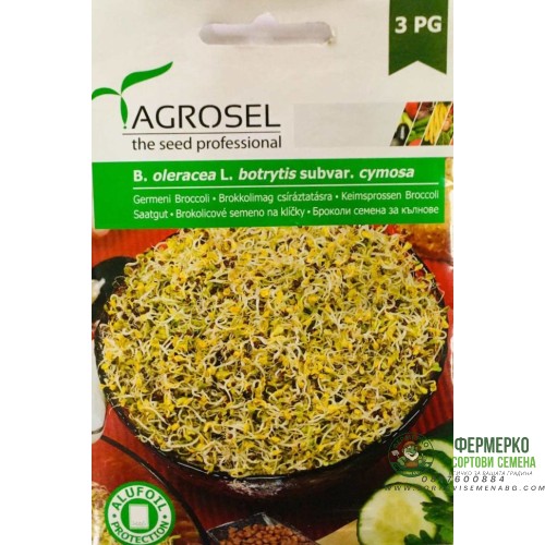 Семена Броколи за Кълнове
