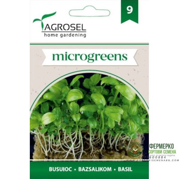 Семена за Микро Босилек (Ocimum basilicum) - 4 гр