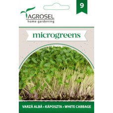 Семена за Микро Бяло зеле (Brassica oleracea var capitata) - 8 гр