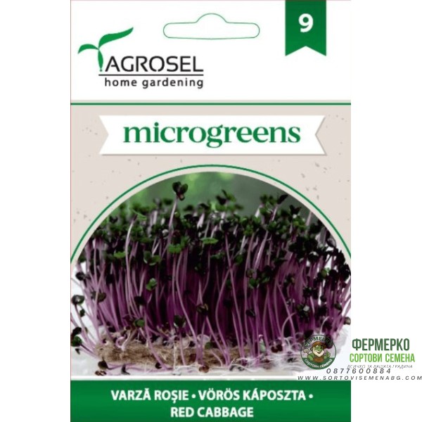 Семена за Микро Червено зеле (Brassica oleracea var capitata f rubra) - 8 гр