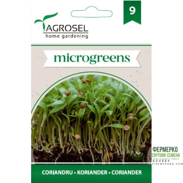 Семена за Микро Кориандър (Coriandrum sativum) - 4 гр