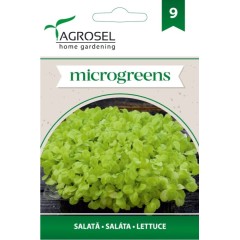 Семена за Микро Салата (Lactuca sativa L) - 5 гр