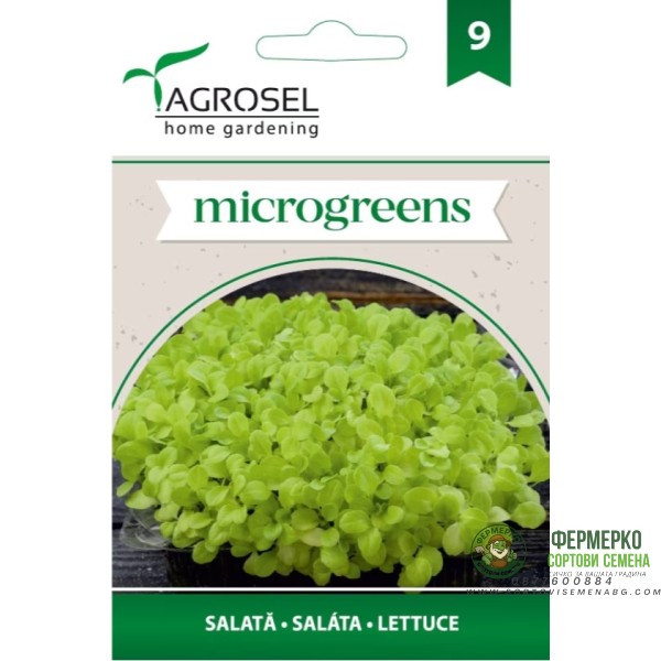 Семена за Микро Салата (Lactuca sativa L) - 5 гр