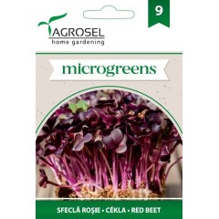 Семена за Микро Салатно Цвекло (Beta vulgaris) - 5 гр