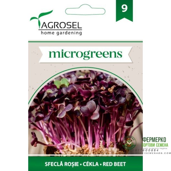Семена за Микро Салатно Цвекло (Beta vulgaris) - 5 гр