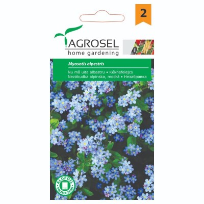 Незабравка Myosotis alpestris