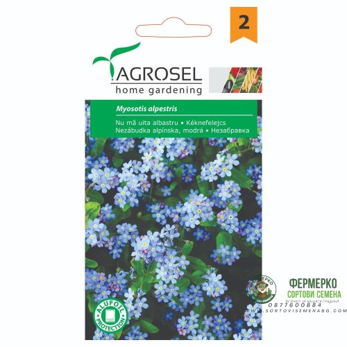 Незабравка Myosotis alpestris