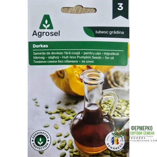 Тиква Доркас (с голо семе) Cucurbita pepo L Dorkas - за олио