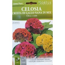Целозия Джудже Микс Celosia cristata