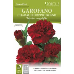 Карамфил Двоен Червен Чабауд Dianthus caryophyllus