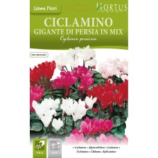 Циклама Персийска Гигант Микс Cyclamen persicum