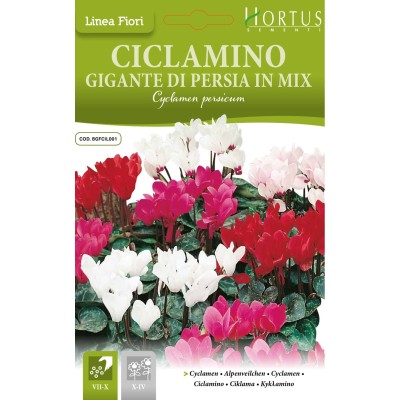 Циклама Персийска Гигант Микс / Cyclamen persicum