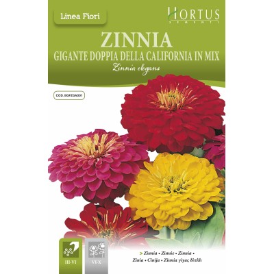 Циния Двойна Голяма Калифорнийски Микс / Zinnia Elegans