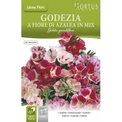 Годеция Микс / Godetia grandiflora