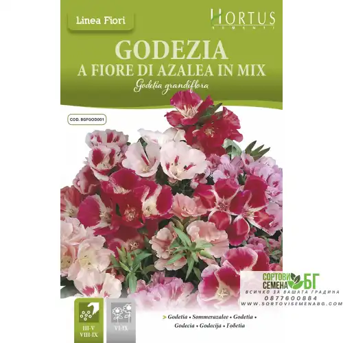 Годеция Микс / Godetia grandiflora Годеция Микс / Godetia grandiflora