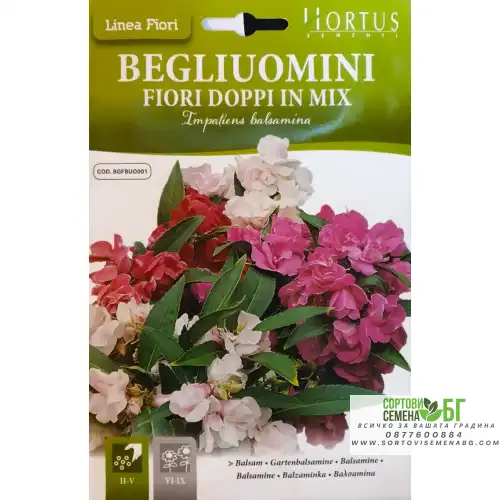 Импатиенс двоен Микс/ Impatiens balsamina Импатиенс двоен Микс/ Impatiens balsamina