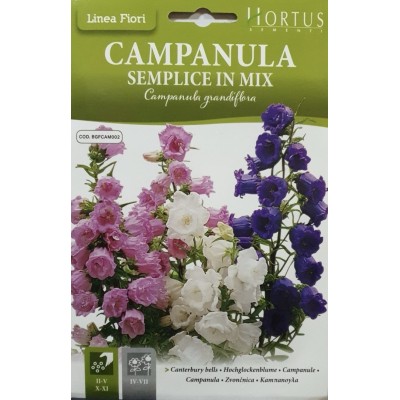 Кампанула Микс / Campanula grandiflora