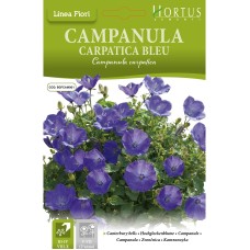 Кампанула Синя  Campanula Carpatica