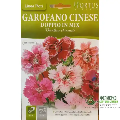 Карамфил Китайски Двоен Микс / Dianthus chinensis