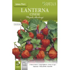 Физалис (Китайски фенер) Physalis Alkenkengii