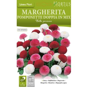 Парички Двойни Помпони Микс / Bellis perennis