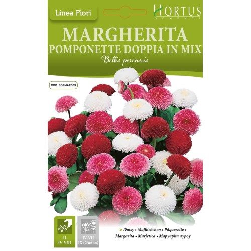 Парички Двойни Помпони Микс / Bellis perennis